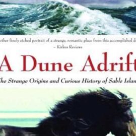 A Dune Adrift by Marq De Villiers and Sheila Hirtle