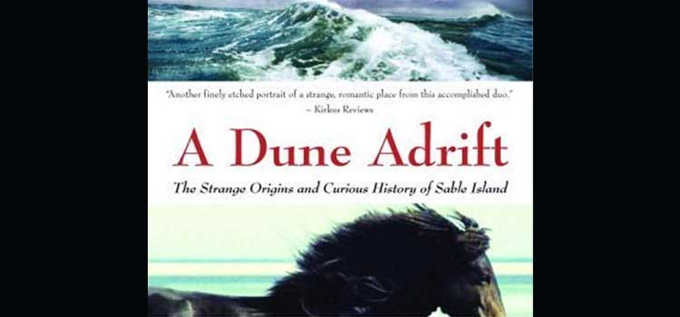 A Dune Adrift by Marq De Villiers and Sheila Hirtle