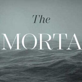 The Immortals by Steven Collis