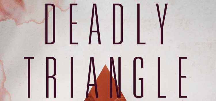 Deadly Triangle by Susan Goldberg