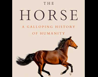 The Horse by Timothy Winegard