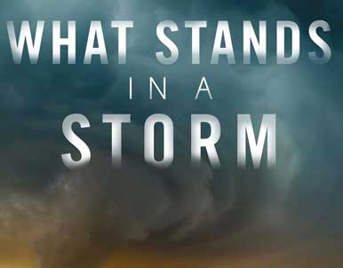 What Stands in a Storm