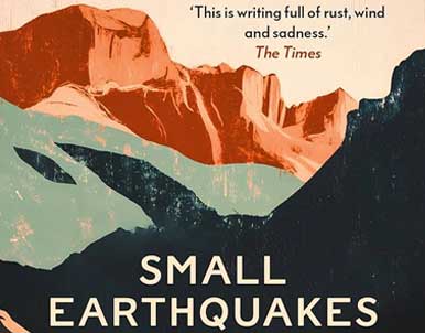 Small Earthquakes by Shafik Meghi