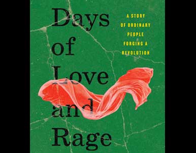 Days of Love and Rage by Anand Gopal
